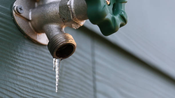 Best Shower Repair Services  in Pico Rivera, CA